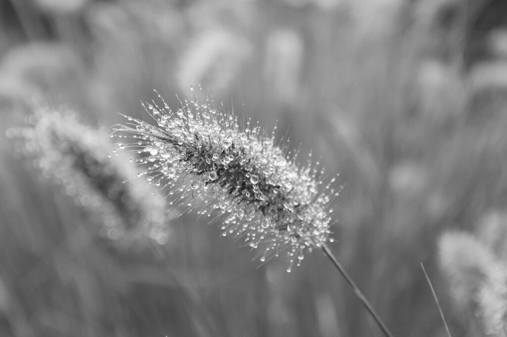 au回線の格安SIMでおすすめのプランは？