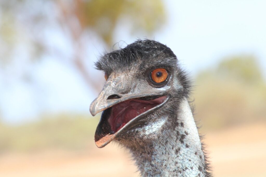 au格安simのメリットとデメリットは何ですか？