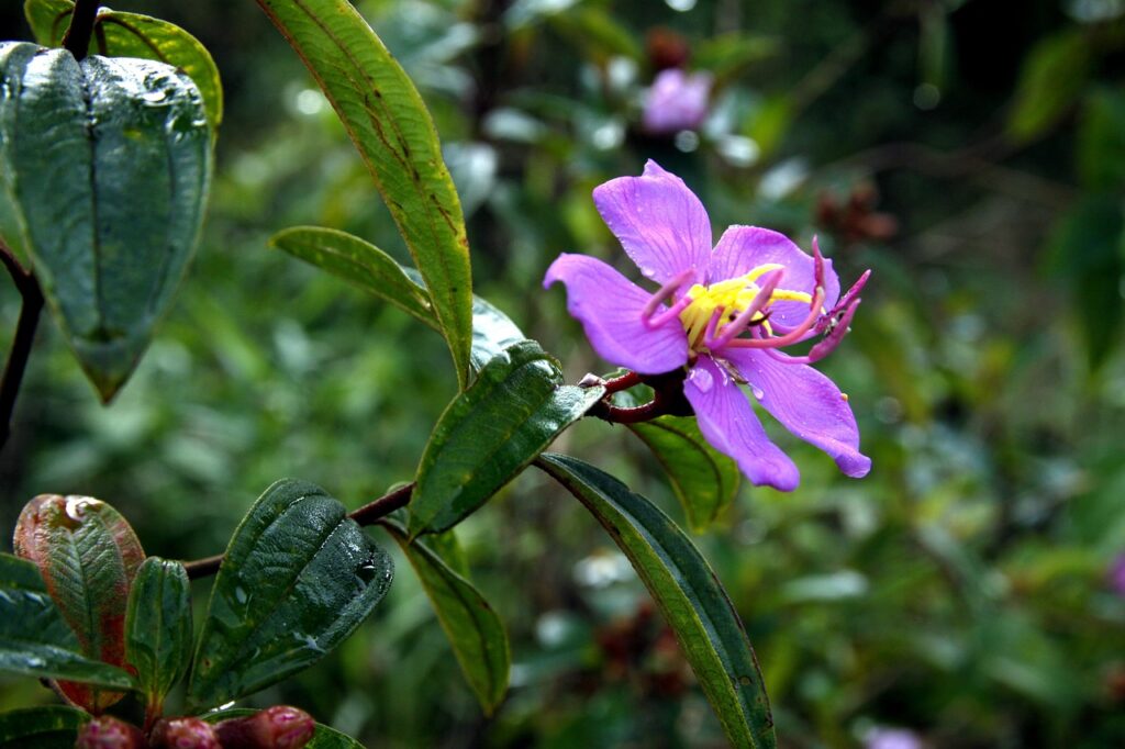 契約期間なしで利用できる格安SIMのメリットは？