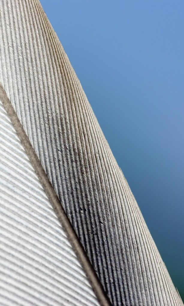 一人暮らしに最適な格安スマホの比較ポイントは？