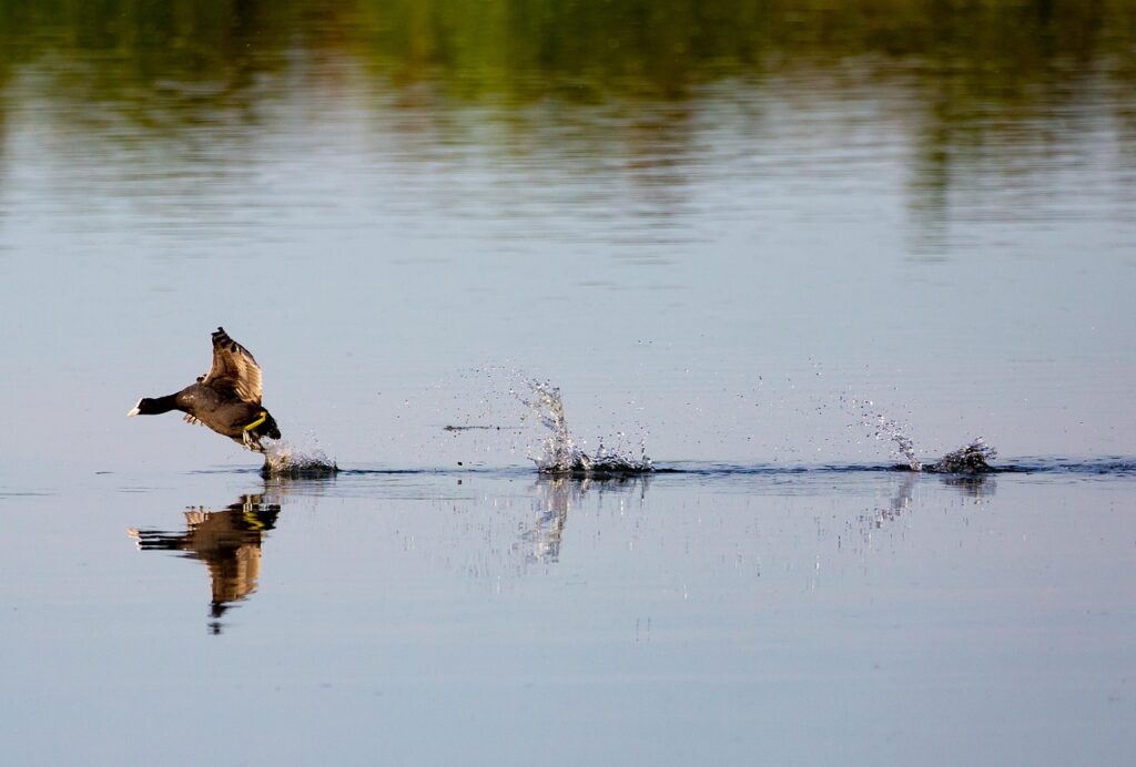 格安SIMの小容量プランでおすすめの選び方は？