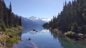 格安SIMの料金プラン比較で最適な選び方は？