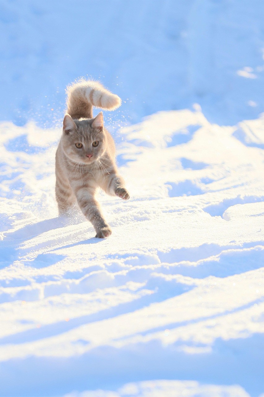 格安SIMの最安プランはどれがベスト？