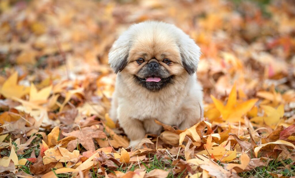 格安SIMの比較サイトで信頼できるおすすめは？