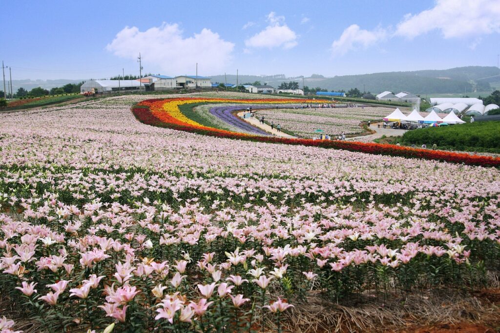 格安SIMの最安月額プランを比較する方法は？