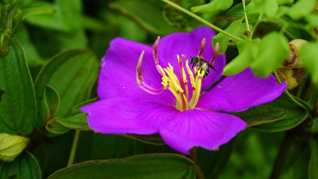 格安SIMを使う学生におすすめのプランは？